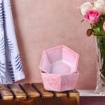 Blush Hexa Glow Ramen & Snack Bowls - Image 3