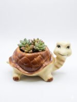 Tilly the Turtle Ceramic Succulent Planter Pot | Cute Animal Flower Pot for Indoor Plants, Desk Decor & Home Decoration - Image 2