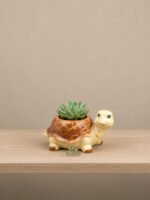 Tilly the Turtle Ceramic Succulent Planter Pot | Cute Animal Flower Pot for Indoor Plants, Desk Decor & Home Decoration - Image 5